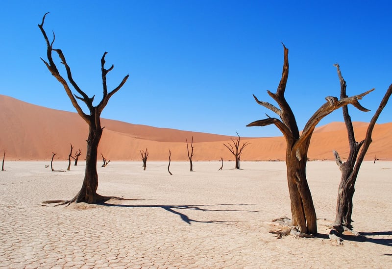 Namib Desert, Namibia